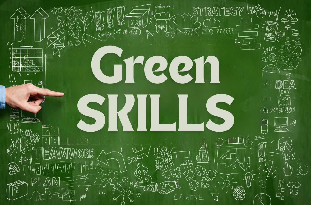 Competenze green e digitali: perché la formazione dei dipendenti è la chiave per la competitività 2025
